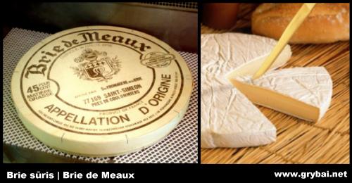 Brie sūris Brie sūris